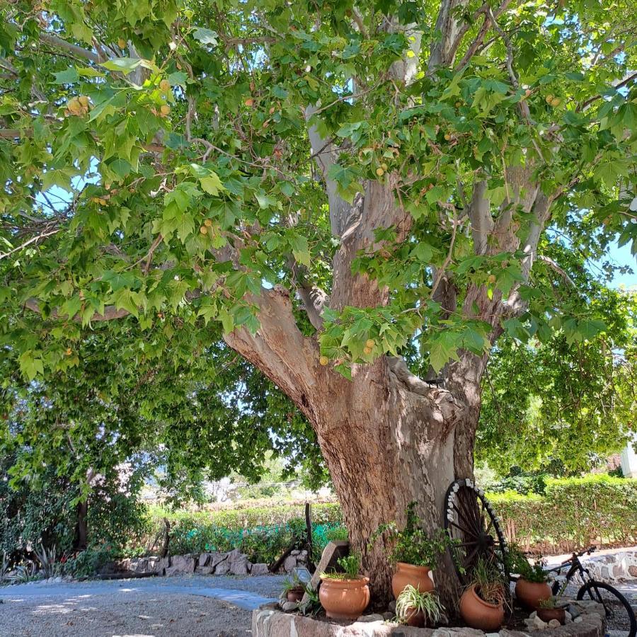Posada Del Arbol Capilla del Monte Kültér fotó